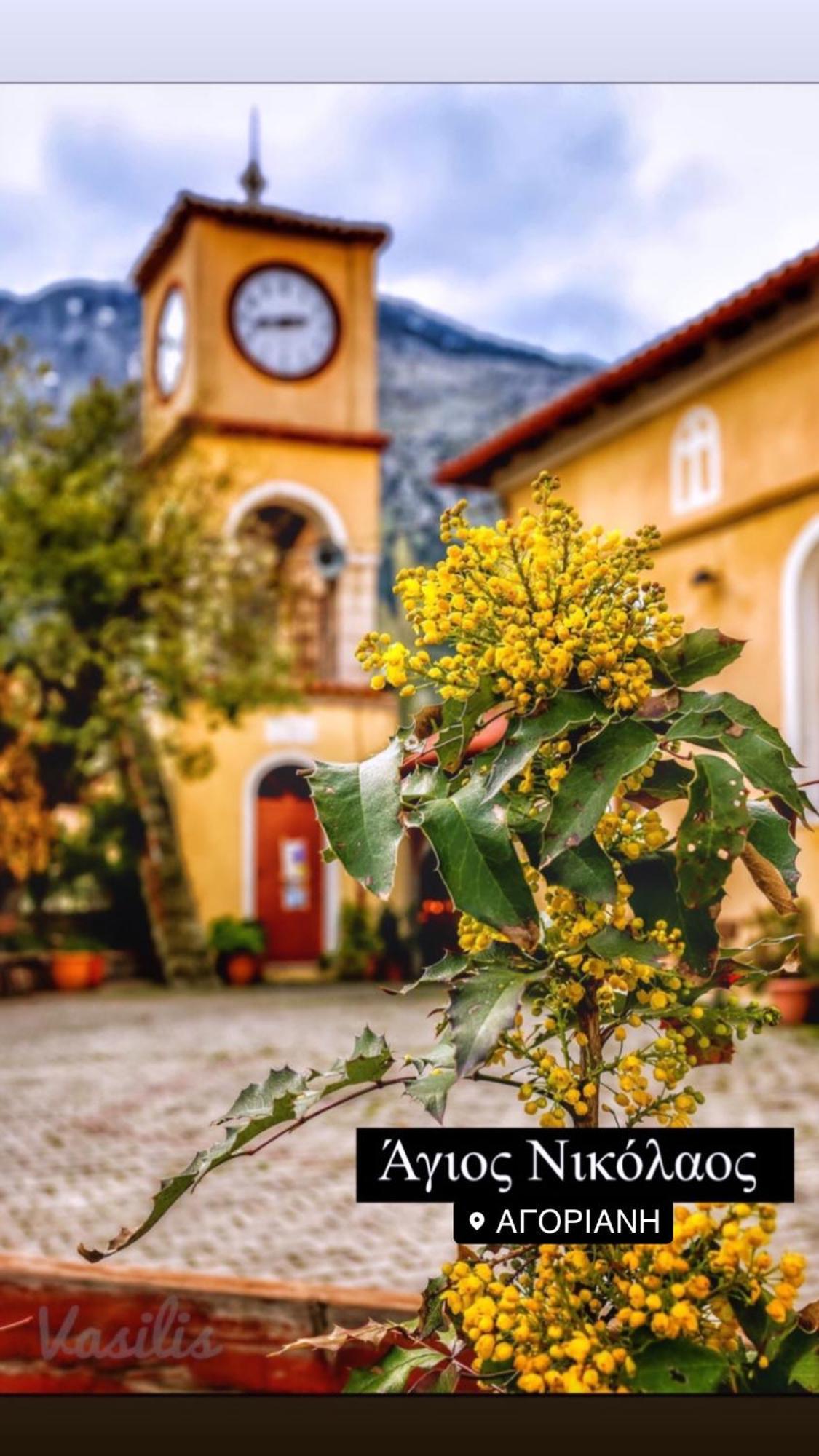 Asimina Guesthouse, Eptalofos Parnassos Экстерьер фото