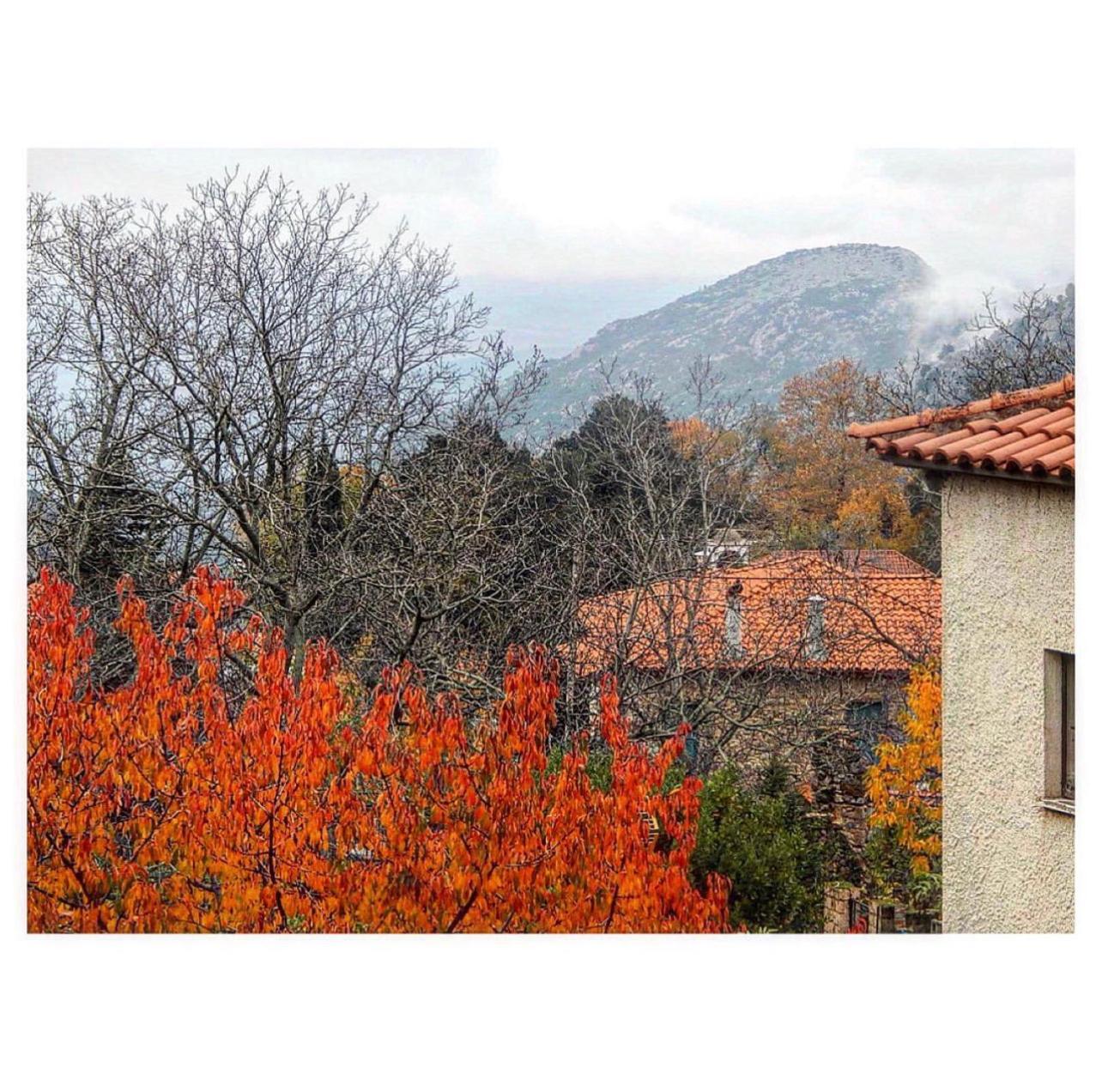Asimina Guesthouse, Eptalofos Parnassos Экстерьер фото