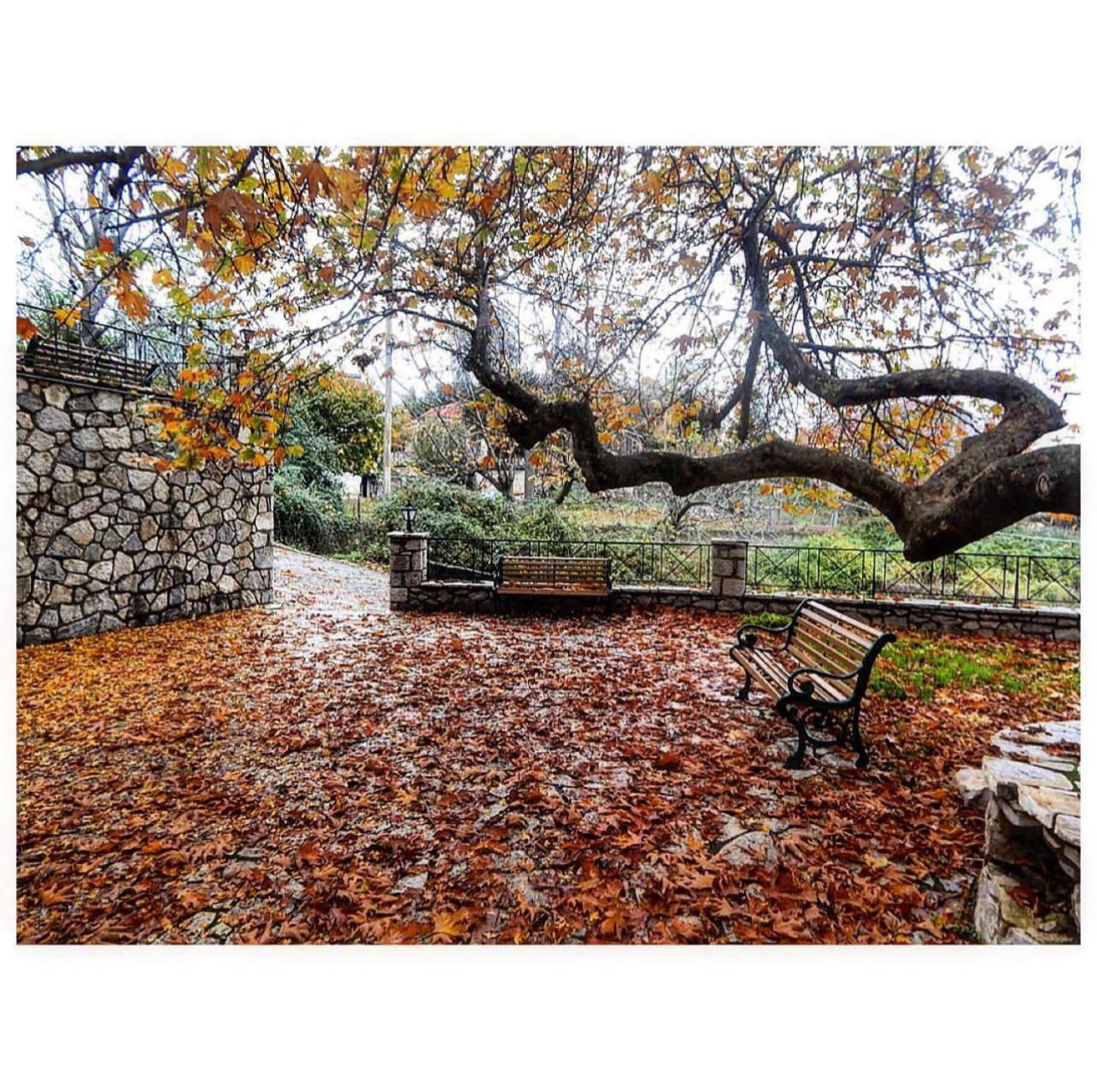 Asimina Guesthouse, Eptalofos Parnassos Экстерьер фото