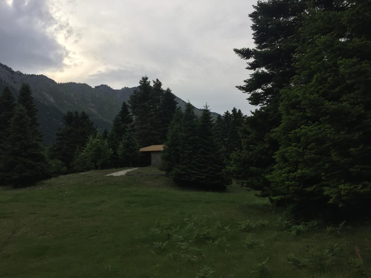 Asimina Guesthouse, Eptalofos Parnassos Экстерьер фото