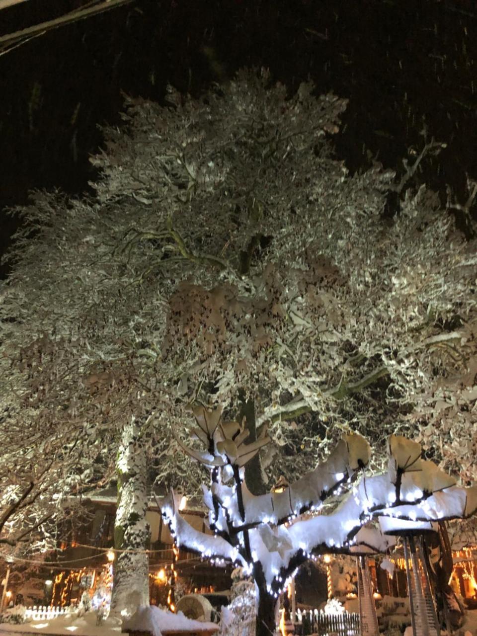 Asimina Guesthouse, Eptalofos Parnassos Экстерьер фото