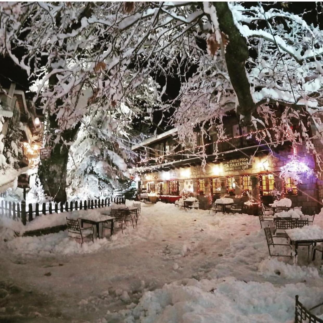 Asimina Guesthouse, Eptalofos Parnassos Экстерьер фото